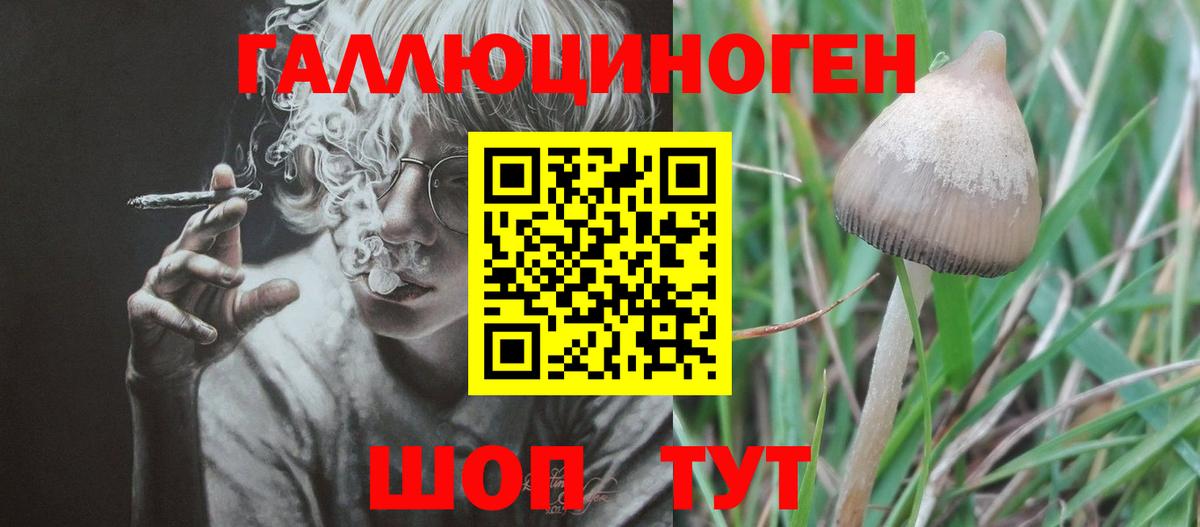 Клин  Псилоцибиновые грибы прущие грибы  Вход с VPN 